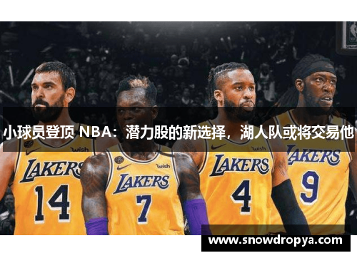小球员登顶 NBA:潜力股的新选择,湖人队或将交易他